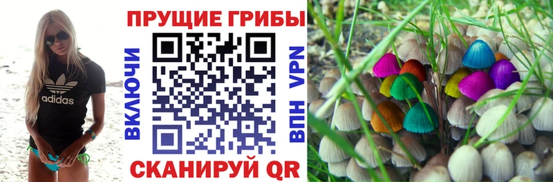 Галлюциногенные грибы мухоморы Грозный
